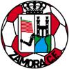 Escut ZAMORA